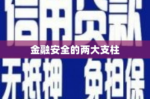 广河金融安全的两大支柱