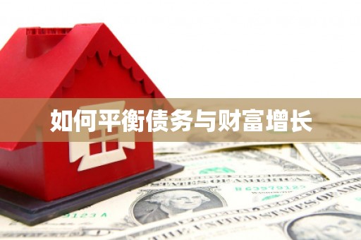 广河如何平衡债务与财富增长
